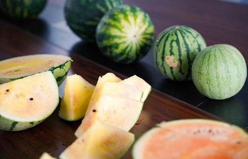 野开瓜怎么吃,解锁自然美味新体验