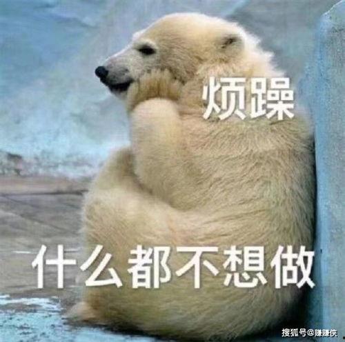 暴走图吃瓜群众,揭秘网络热图的狂欢与争议