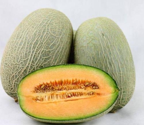 吃哈密瓜会胃痛,胃痛风险需警惕