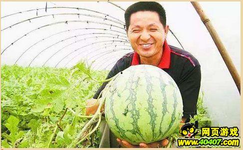 孝感吃瓜墙,揭秘当地美食背后的故事与风情