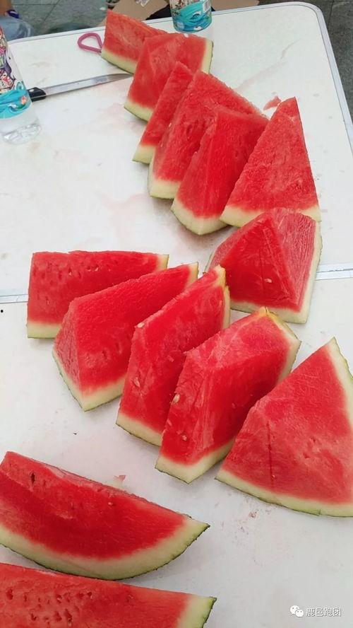 52吃瓜网-每日大赛,每日大赛精彩回顾，热点事件一网打尽！