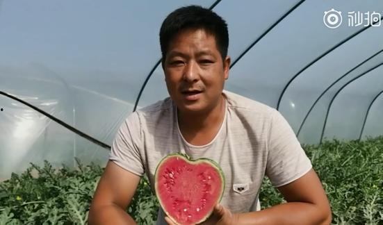 520各种吃瓜,揭秘娱乐圈甜蜜背后的那些事儿