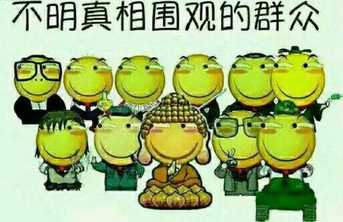 吃瓜群众在七零和,吃瓜群众的欢乐时光