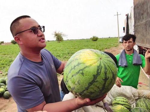 吃瓜的恶心图片