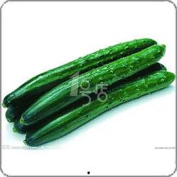 茂幼吃瓜,揭秘校园里的那些“瓜”