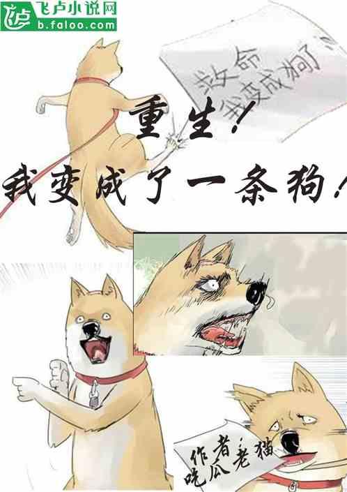 轻易吃瓜小说全文阅读,揭秘小说世界的精彩纷争