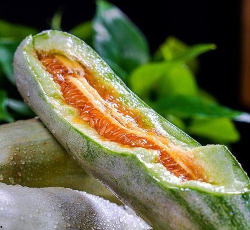 银角大王吃瓜,瓜田里的奇幻食客