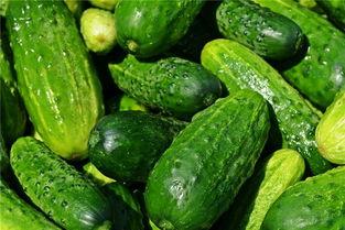 梦到和现任吃瓜,揭秘我与现任的瓜田奇遇