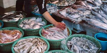 厦门吃瓜小分队,吃瓜小分队的味蕾之旅