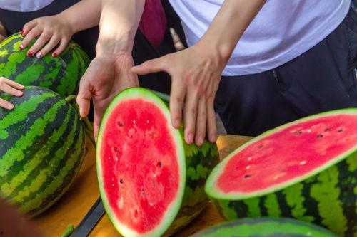 吃瓜哪个学校,“揭秘‘吃瓜现象背后的高校风云录”