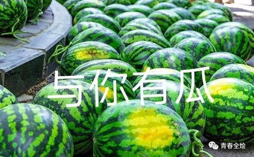 吃瓜哪个学校,“揭秘‘吃瓜现象背后的高校风云录”