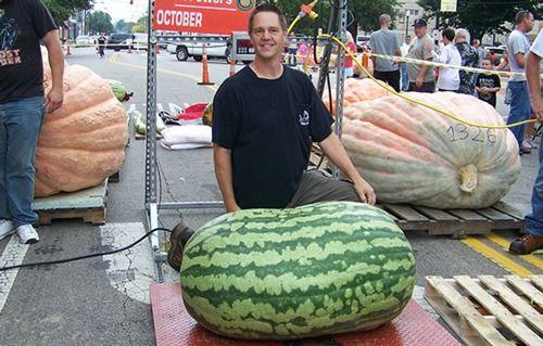 真实吃瓜户外游戏,揭秘虚拟世界中的真实瓜田奇遇