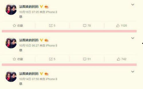 吃瓜太太 语音厅,揭秘娱乐圈幕后故事