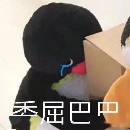 社会姐吃瓜事件,揭秘网络舆论背后的真相与争议