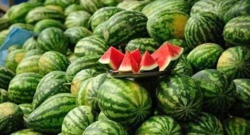 朝朝吃瓜,揭秘娱乐圈的幕后故事