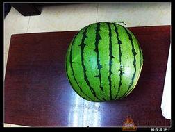 17吃瓜网吃瓜网,网络吃瓜文化的风向标