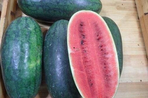 17吃瓜网吃瓜网,网络吃瓜文化的风向标