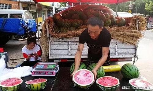 吃瓜凶杀案,一起凶杀案的真相揭秘