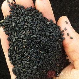 吃蛇瓜能生头发吗,揭秘生发之谜