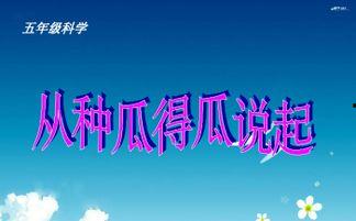 吃瓜大国的甜梦课件,揭秘甜梦课件背后的故事