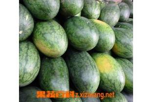 美少女长乐吃瓜,吃瓜成瘾，揭秘娱乐圈幕后风云