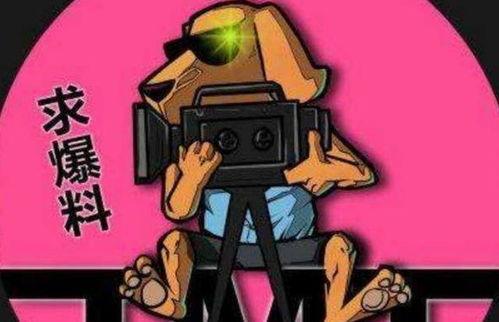 吃瓜炸裂分手,明星情侣分手真相大揭秘