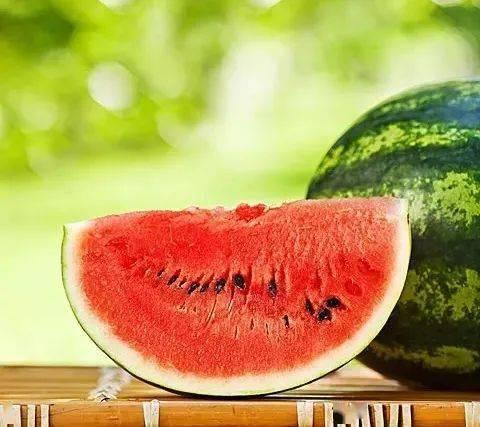 白鹿开席吃瓜,一场别开生面的美食狂欢