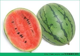 吃瓜过敏为什么