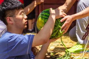 吃瓜大学湖边,揭秘吃瓜大学的风云故事