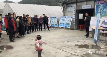 项城吃瓜事件进展,真相追踪与舆论发酵全记录