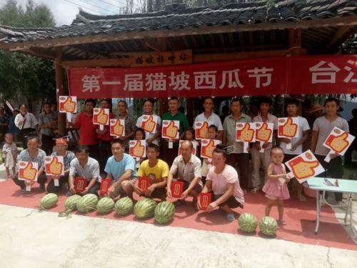 党员 吃瓜群众,共筑和谐社会的桥梁