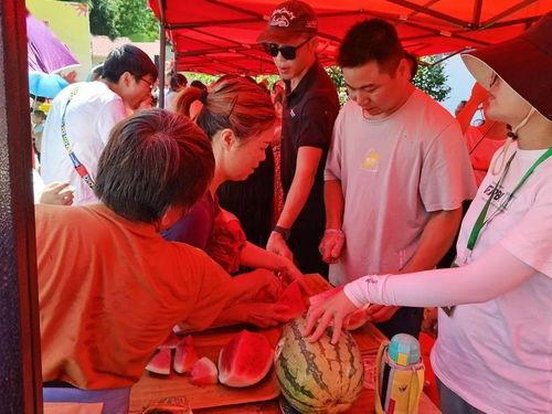 党员 吃瓜群众,共筑和谐社会的桥梁