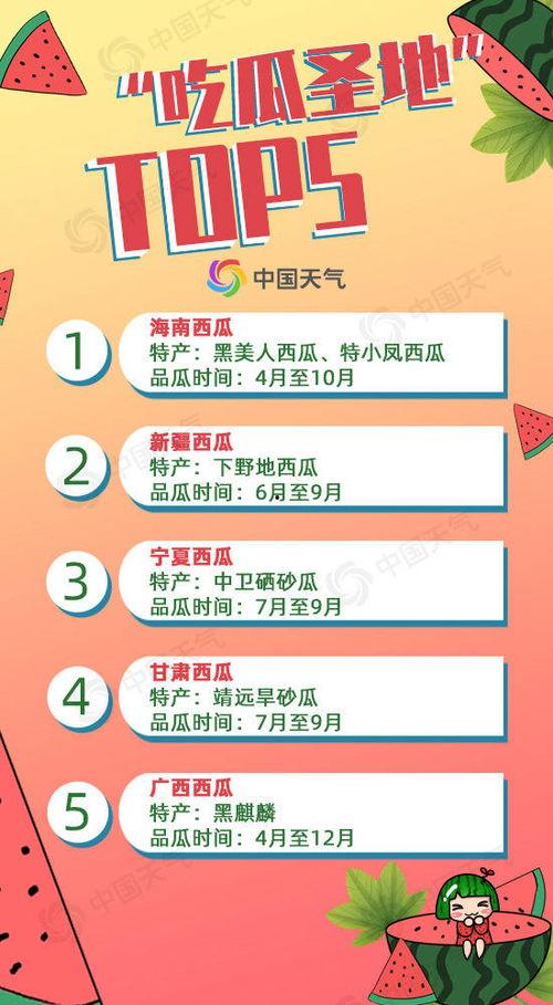 带你吃瓜儿歌,轻松幽默的夏日消暑神器