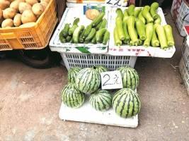 吃瓜自由的原因,网络时代下的言论自由与边界探索