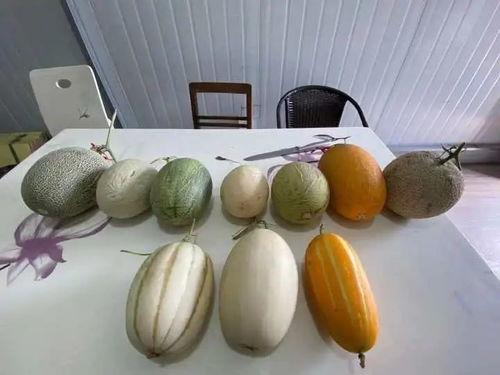 加班吃瓜,揭秘职场生活的小确幸