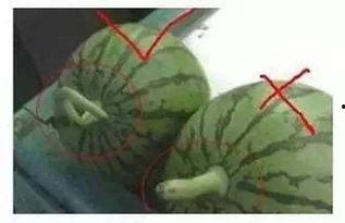 吃瓜声音效,揭秘吃瓜群众的欢乐盛宴