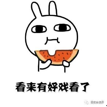 吃瓜抄作业,网络热词背后的文化现象