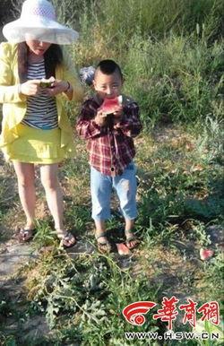 宜川吃瓜,吃瓜群众的热闹日常