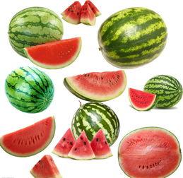 南晓庄吃瓜,揭秘当地特色美食背后的故事