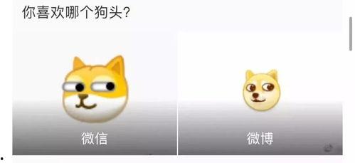 旺柴和吃瓜,揭秘娱乐圈幕后风云