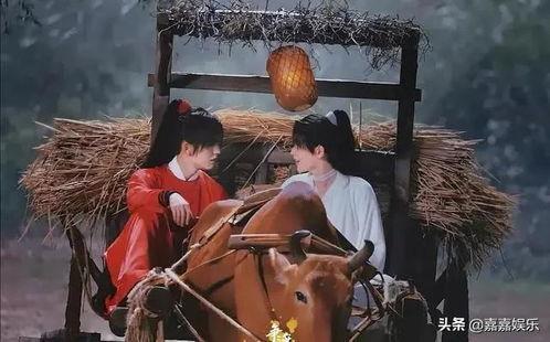 吃瓜张凌赫,娱乐圈的“瓜王”传奇