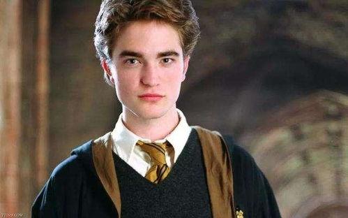 吃瓜罗伯特凯源,揭秘明星背后的故事