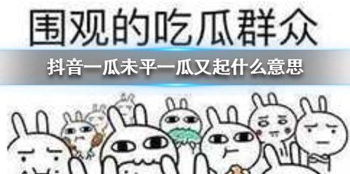 抖音吃瓜台词,揭秘网络热梗背后的故事