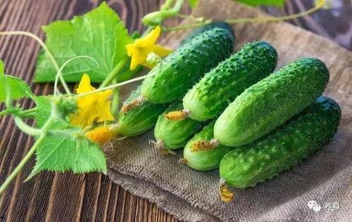 夏天吃大瓜,大瓜盛宴，清凉一夏