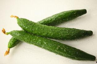 做梦在吃瓜,瓜果飘香中的味蕾冒险