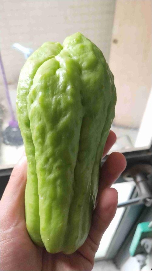 月月瓜怎么吃视频,跟随视频轻松学会