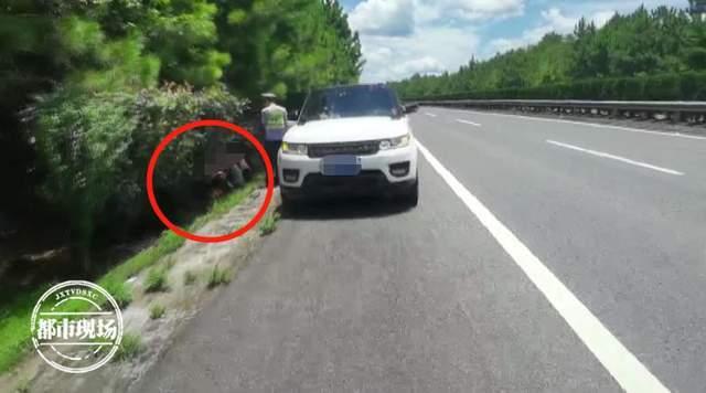 男子带家人高速上吃瓜