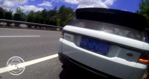 男子带家人高速上吃瓜