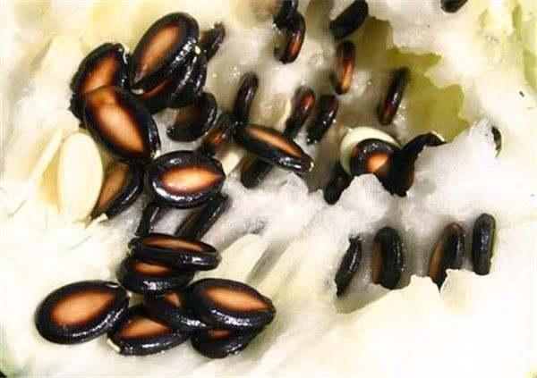 吃籽瓜预防便秘吗,轻松预防便秘困扰”