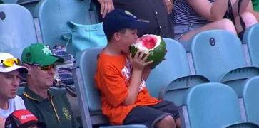 澳洲人吃瓜群众,揭秘本土热门话题背后的真相